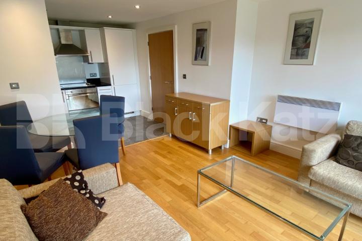 Modern, bright and airy one bedroom apartment. Long Lane, London Bridge/ Borough